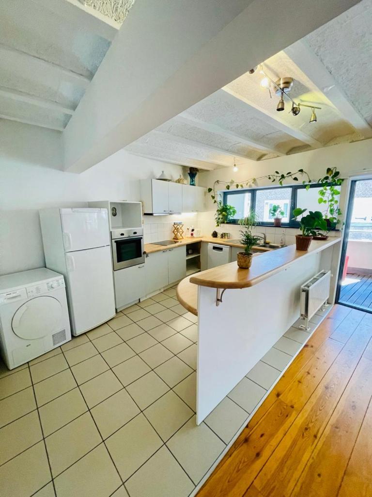 Down Town Oasis-spacious Loft With Private Parking * Brussels